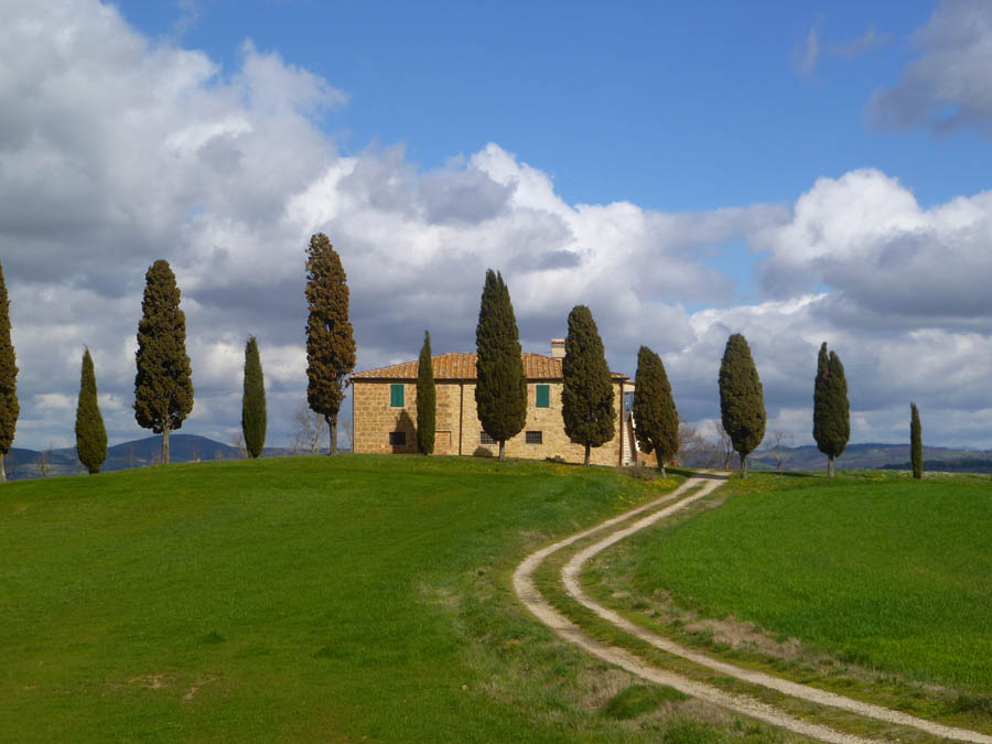 assisi